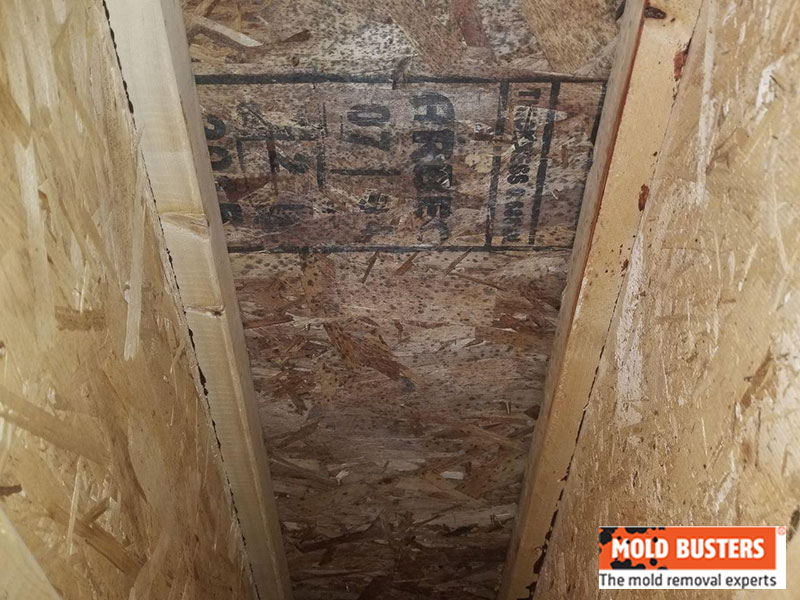 small attic space with mold