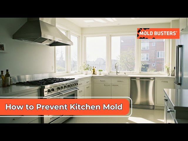 How to Prevent Mold on Countertops: Easy Tips for a Clean Home