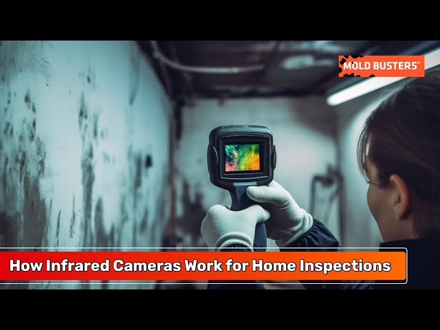 How to Detect Water Damage with an Infrared Camera