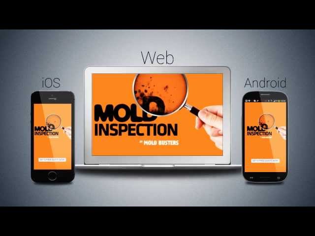 how to get a free mold inspection