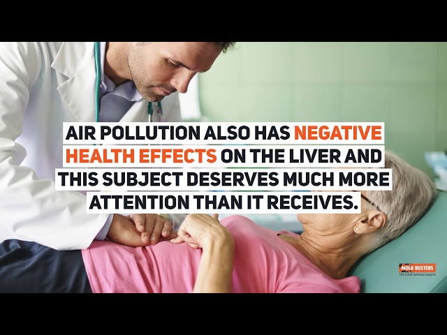 Les dangers d'une mauvaise qualité de l'air intérieur et comment y remédier