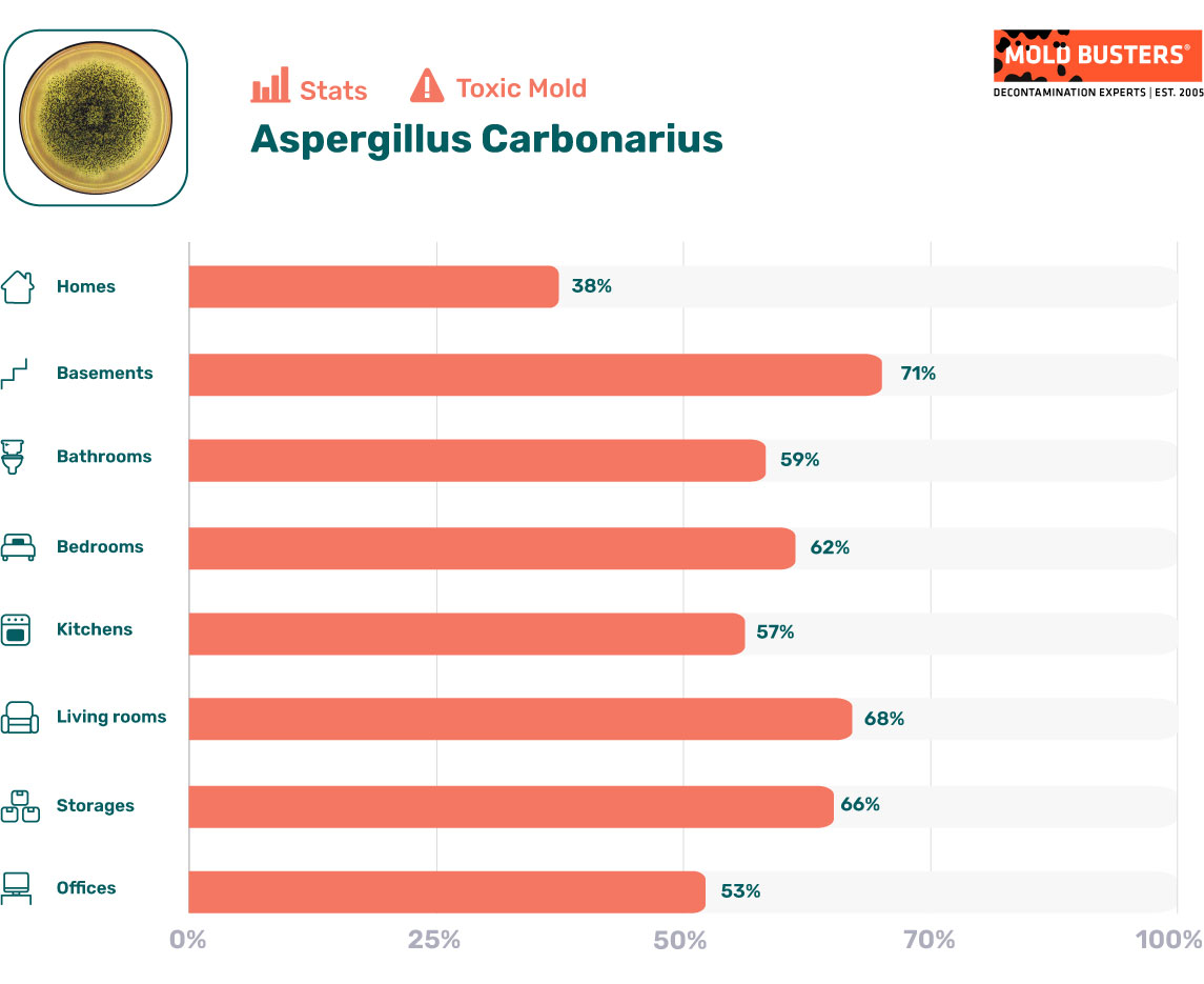 Aspergillus carbonarius statistics