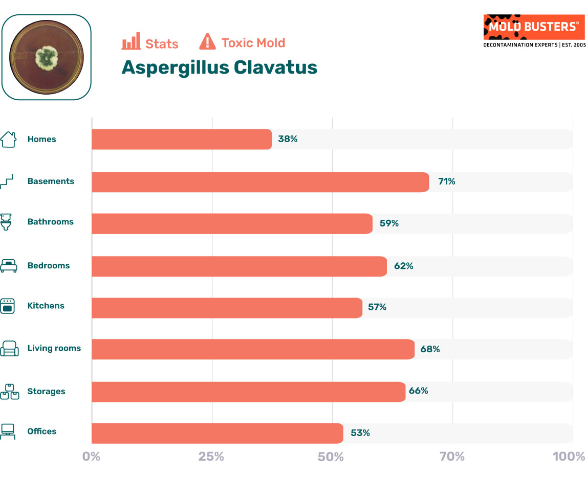 Aspergillus clavatus statistics