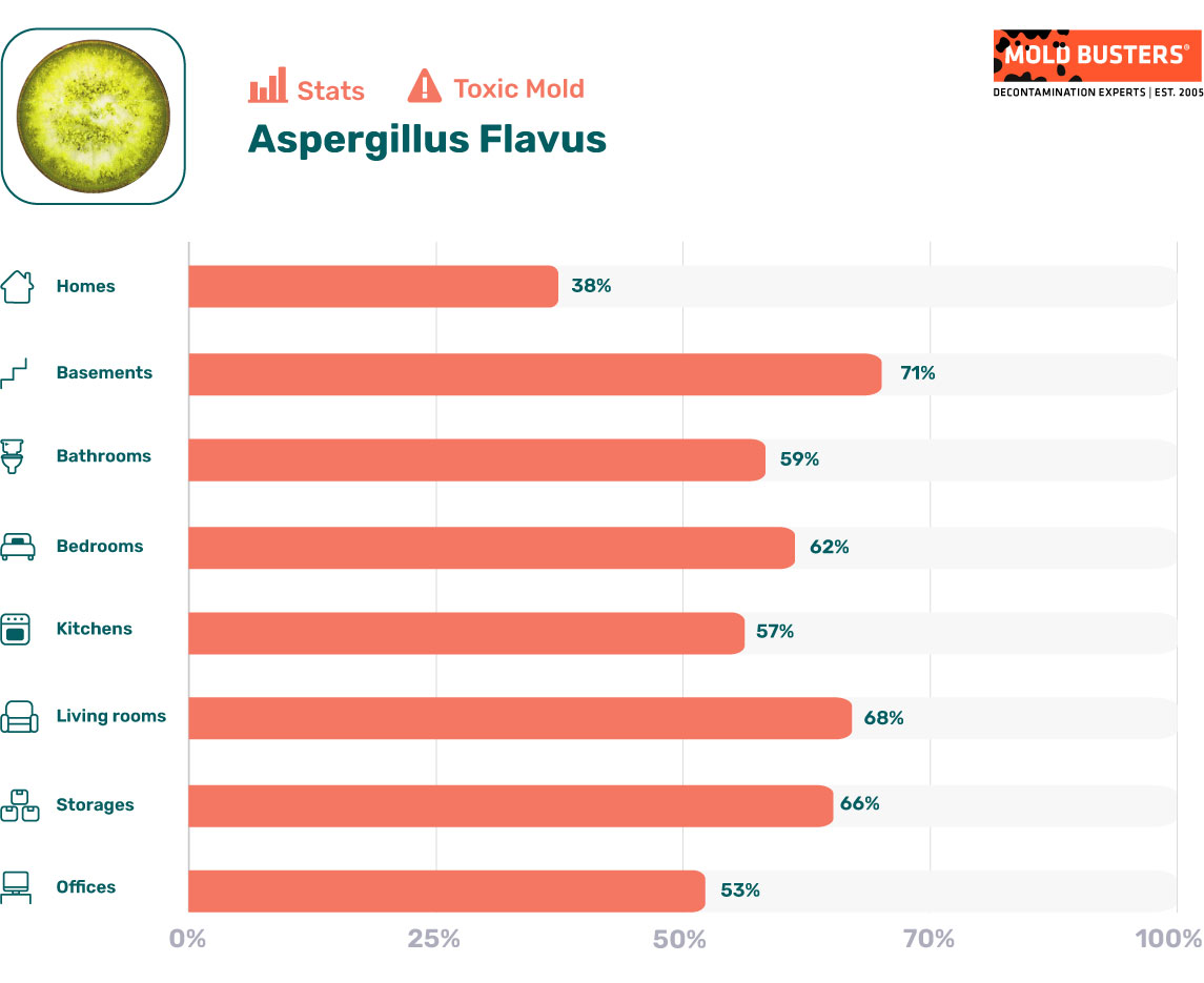 Aspergillus flavus statistics