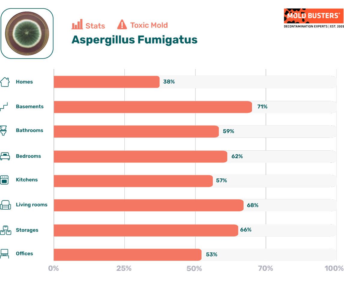 Aspergillus fumigatus statistics
