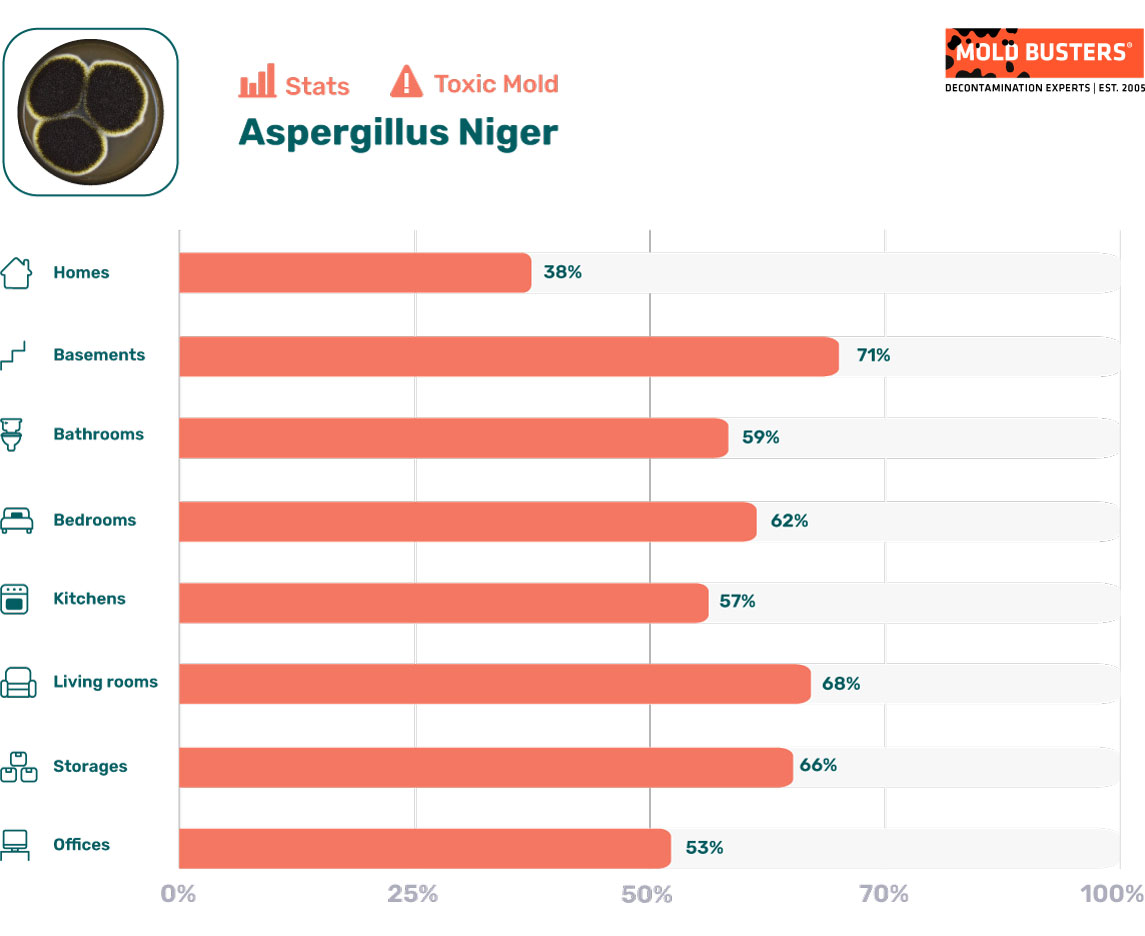 Aspergillus niger statistics