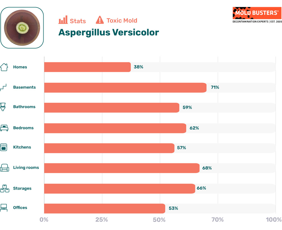 Aspergillus versicolor statistics