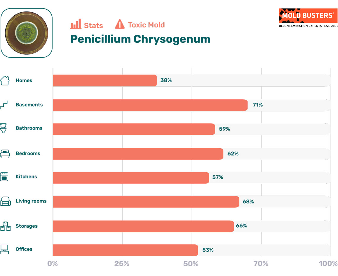 Penicillium chrysogenum statistics