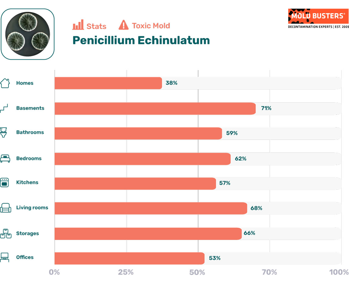 Penicillium echinulatum statistics