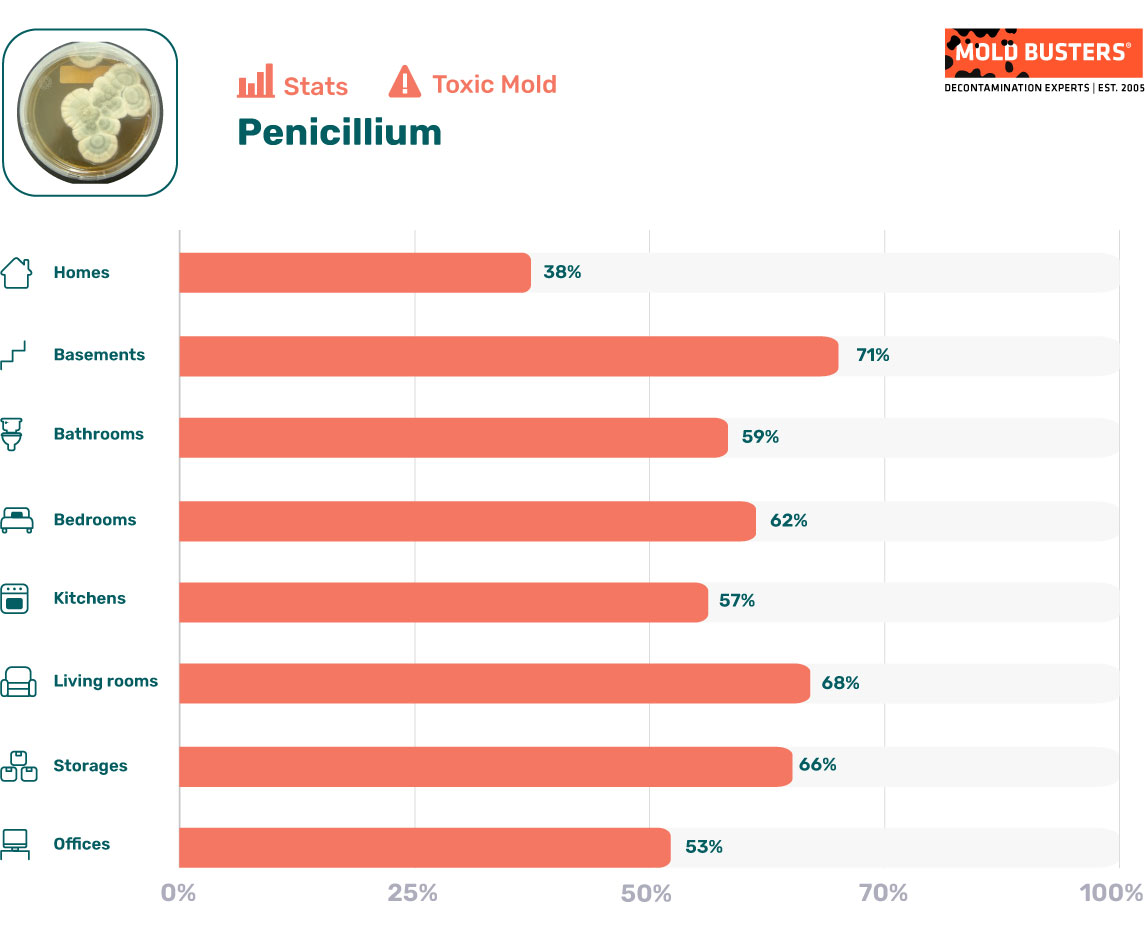 Penicillium statistics