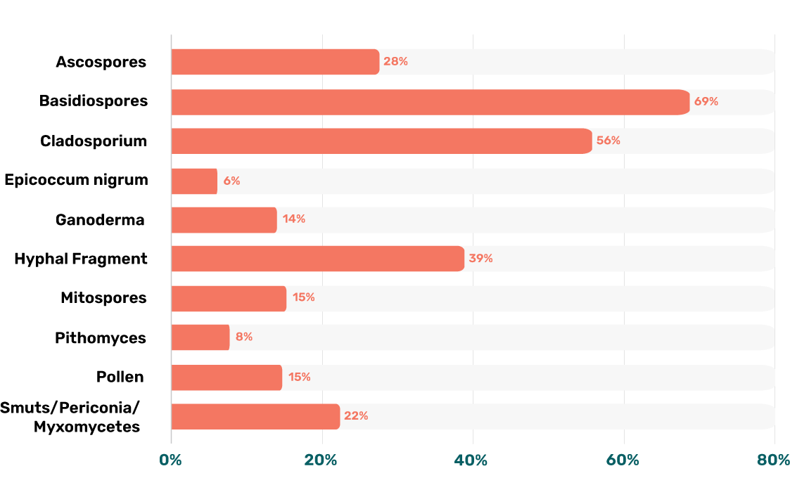 Stats Most Common Mold Types in Basements