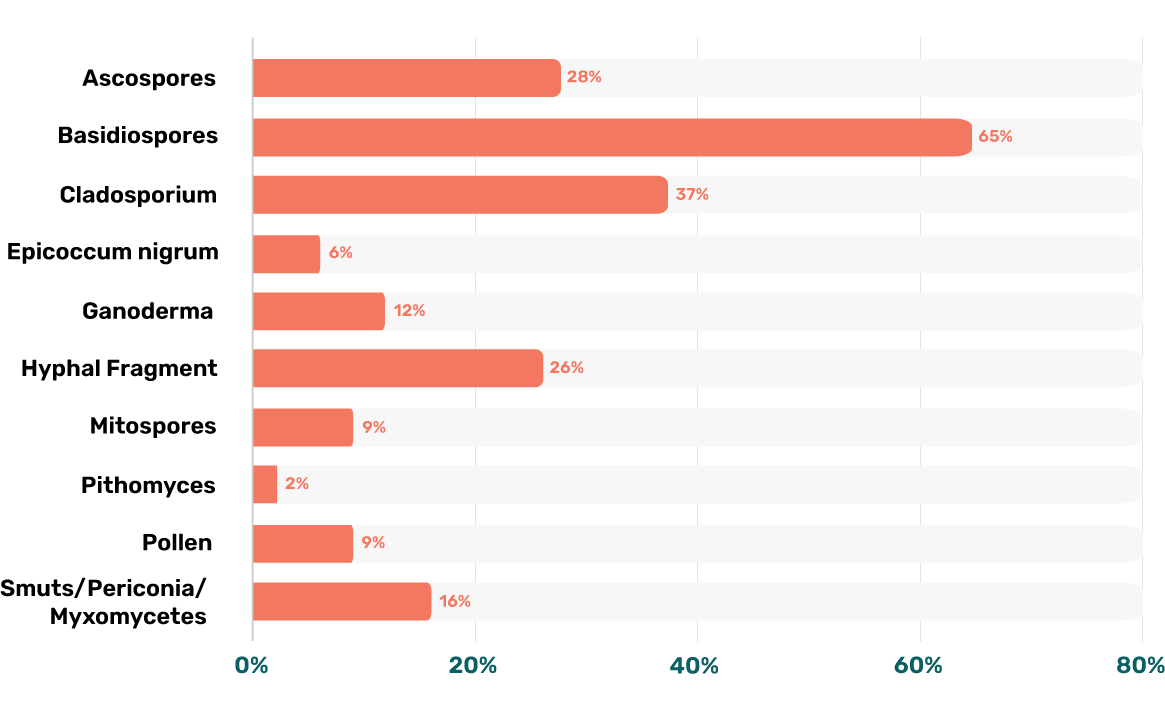 Stats Most Common Mold Types in Kitchens