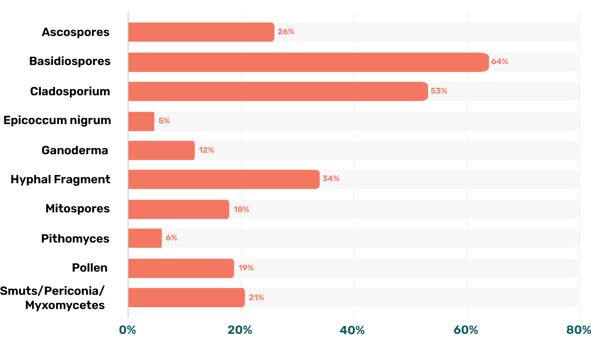 Stats Most Common Mold Types in Office Rooms
