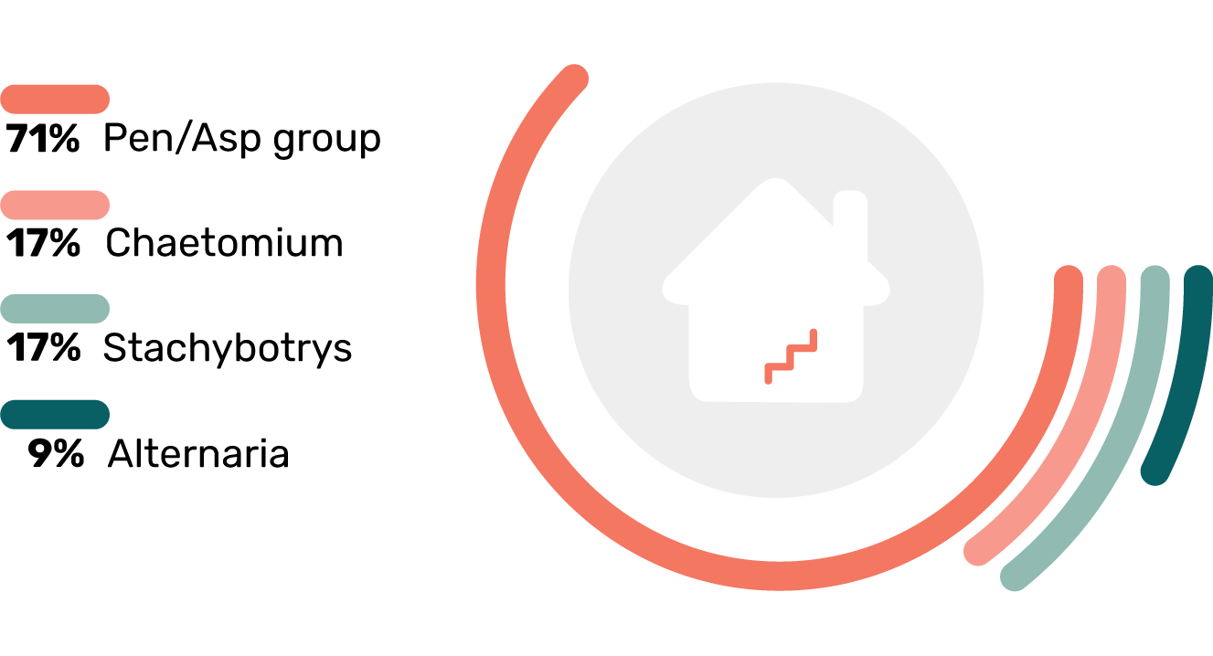 Stats Toxic Mold Types in Basements