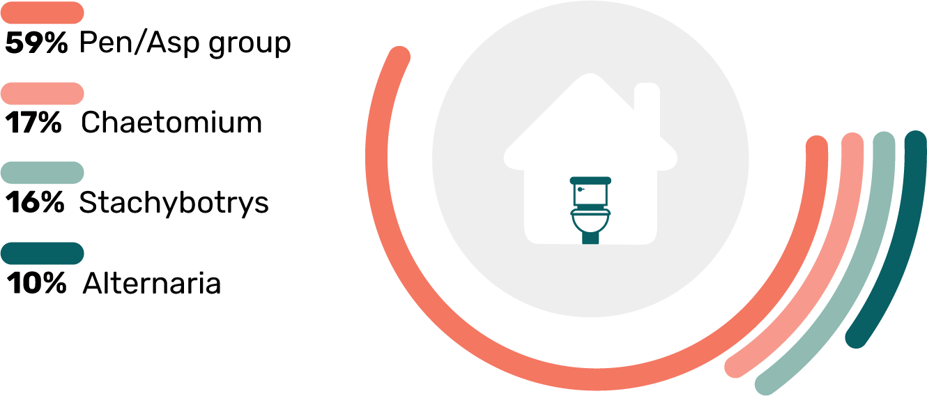 Stats Toxic Mold Types in Bathrooms