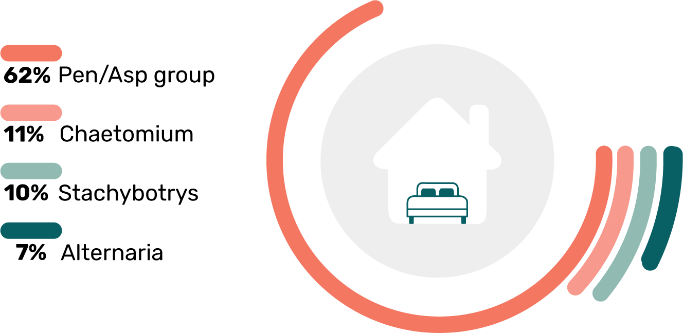 Stats Toxic Mold Types in Bedrooms