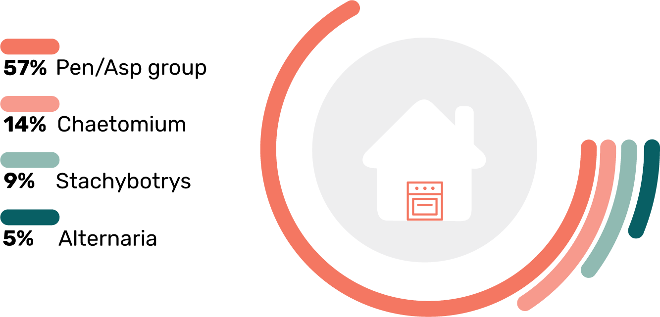 Stats Toxic Mold Types in Kitchens