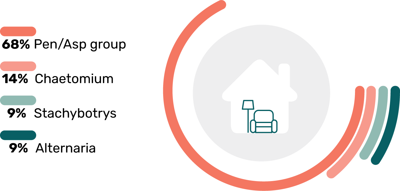 Stats Toxic Mold Types in Living Rooms