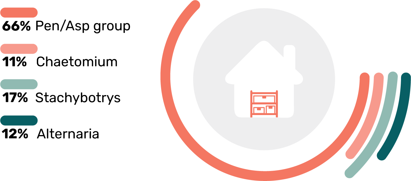 Stats Toxic Mold Types in Storage Rooms