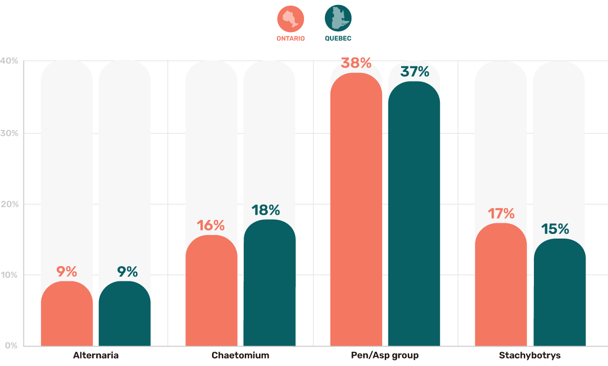 Stats Toxic Mold Types Compared in Ontario and Quebec