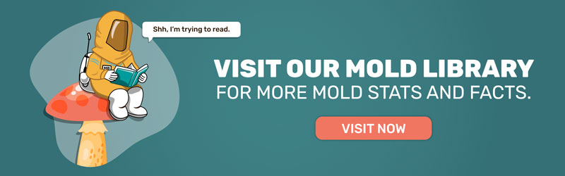 Mold statistics