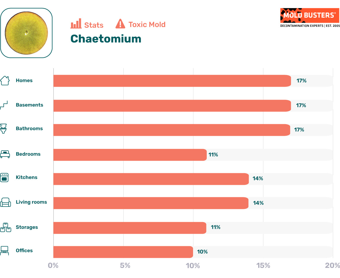 Chaetomium statistics