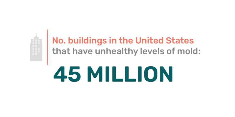 Fact Unhealthy Levels of Mold