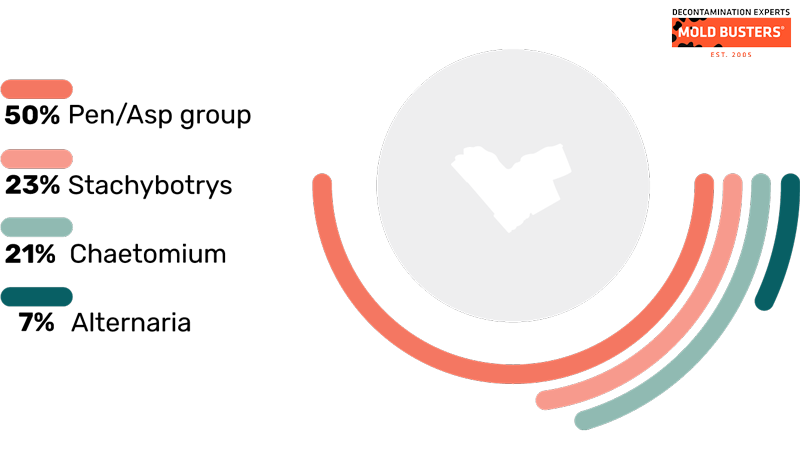 ottawa-toxic-mold-stats