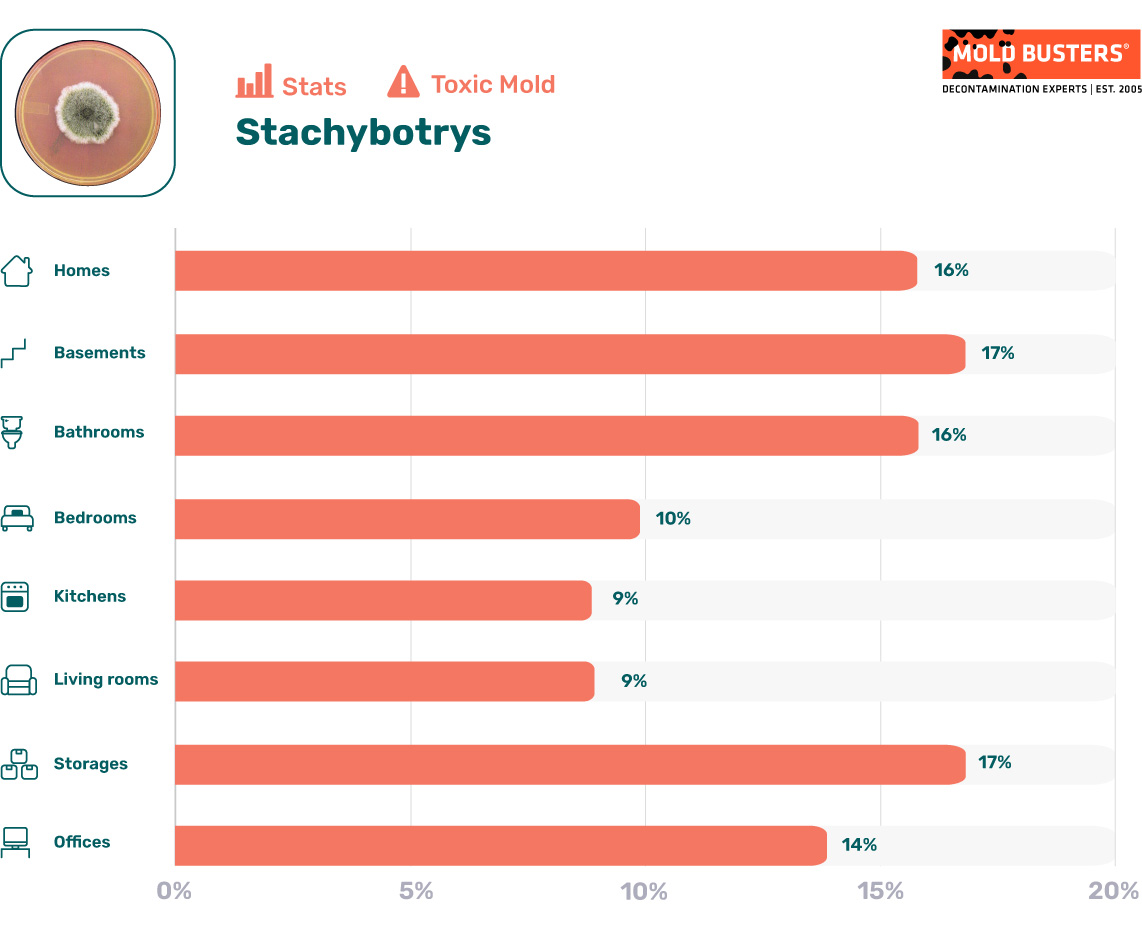 Stachybotrys statistics