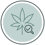 icon inspection cannabis