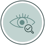 icon inspections