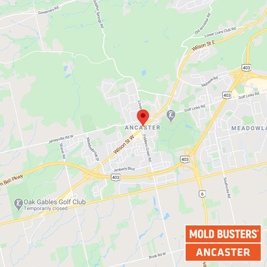 Mold Removal in Ancaster Local Indoor Air Quality Services