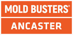 Mold Busters Ancaster