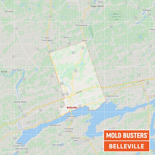 Belleville Ontario map