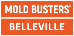 Mold Busters Belleville