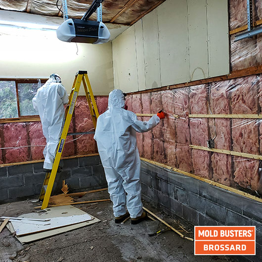 mold remediation