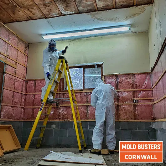 Mold Busters technician during a garage mold removal job in Cornwall, Ontario