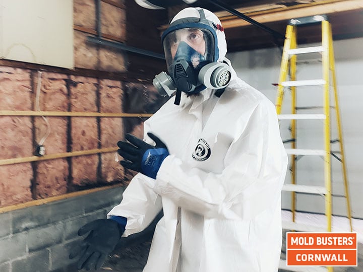 Décontamination et élimination de la moisissure à Cornwall