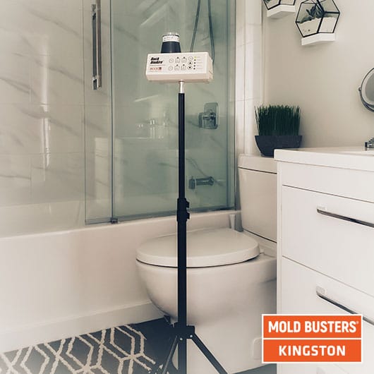 Mold Busters technician performing air quality testing in a Kingston, Ontario home