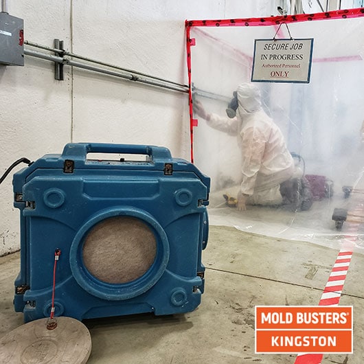 commercial-mold-removal-kingston