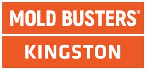 Mold Busters Kingston