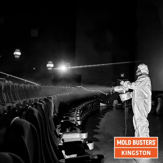 mold-remediation-in-movie-theater-kingston