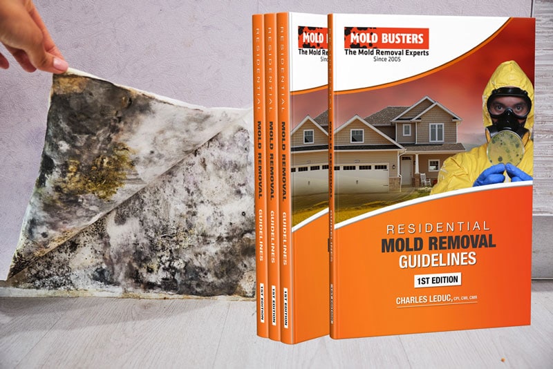 mold removal guidelines cover