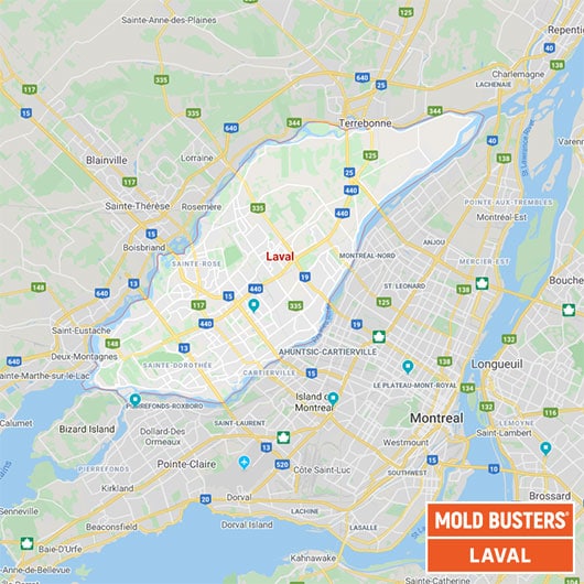 Élimination de la moisissure à Laval Tests de la qualité de l’air et