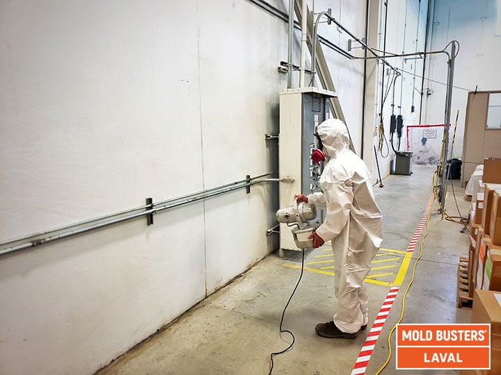 Le Guide Definitif Pour Test D'amiante, Test Vermiculite Et Amiantose