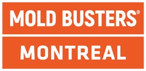 Mold Busters Montreal