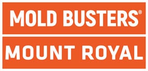 Mold Busters Mont Royal