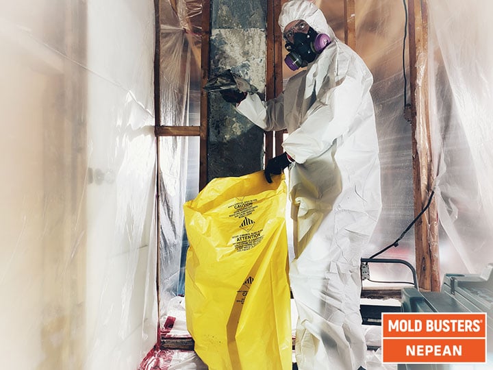 Les experts de la moisissure Nepean