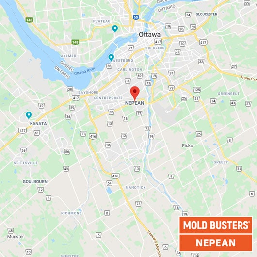 Services d'assainissement pour la moisissure à Nepean Mold Busters
