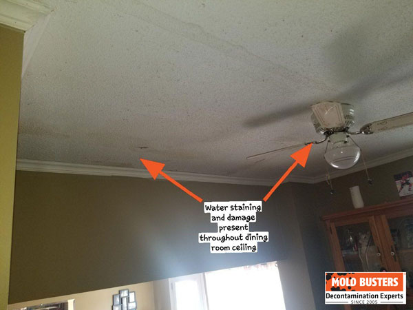 Living room mold inspection Ottawa